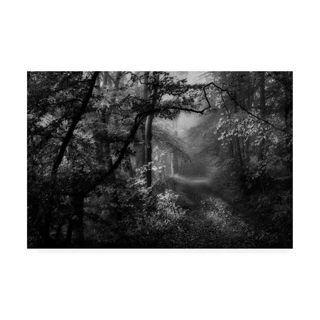 Trademark Fine Art Norbert Maier 'A Sorrow Beyond Dreams' Canvas Art, 12x19 1X08403-C1219GG